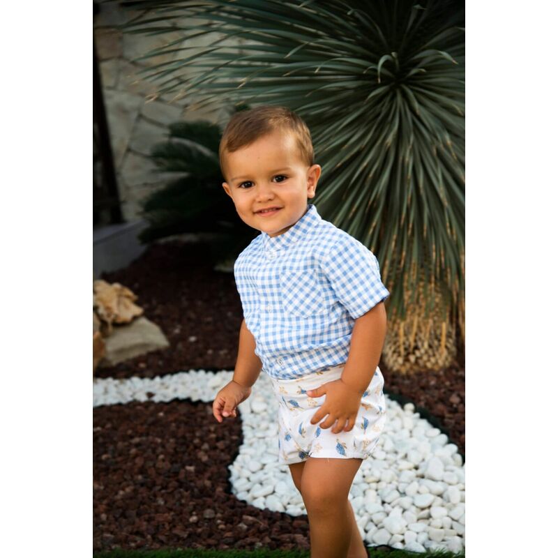 AA001 Conjunto niño modelo Australia Daniesty. ROPA PARA BEBES ,PREMAMA Y COLEGIAL - DE 0 5 AÑOS INFANTIL VERANO NIÑO Conjuntos AA001 Conjunto niño modelo Australia Daniesty. ROPA PARA BEBES ,PREMAMA Y COLEGIAL - DE 0 5 AÑOS INFANTIL VERANO NIÑO Conjuntos