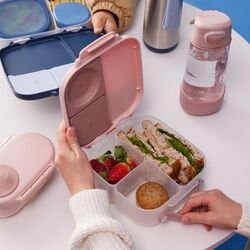 BB00709U Mini Lunchbox - Blush Crush INFANETO. PUERICULTURA Y COMPLEMENTOS PARA BEBES - COMIDA VAJILLAS CUBIERTOS ROPA ,PREMAMA