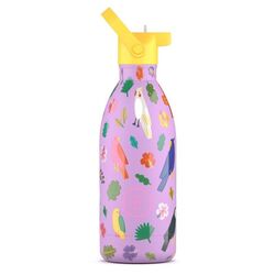CBBK50FF The Kids Bottle - Fly Free 500ml COOLBOTTLES. ROPA PARA BEBES ,PREMAMA Y COLEGIAL - COLEGIO ,MANDILONES, MOCHILAS