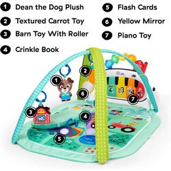 17447 AREA DE JUEGO KICKIN TUNES FARM BABY EINSTEIN SARO. JUGUETES PARA BEBE - ALFOMBRAS, GIMNASIOS Y PARQUES INFANTILES