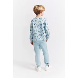 354004 CONJUNTO CHANDAL PERRITOS VERDE AZULADO STREET MONKEY. ROPA PARA BEBES ,PREMAMA Y COLEGIAL - DE 0 5 AÑOS INVIERNO NIÑO