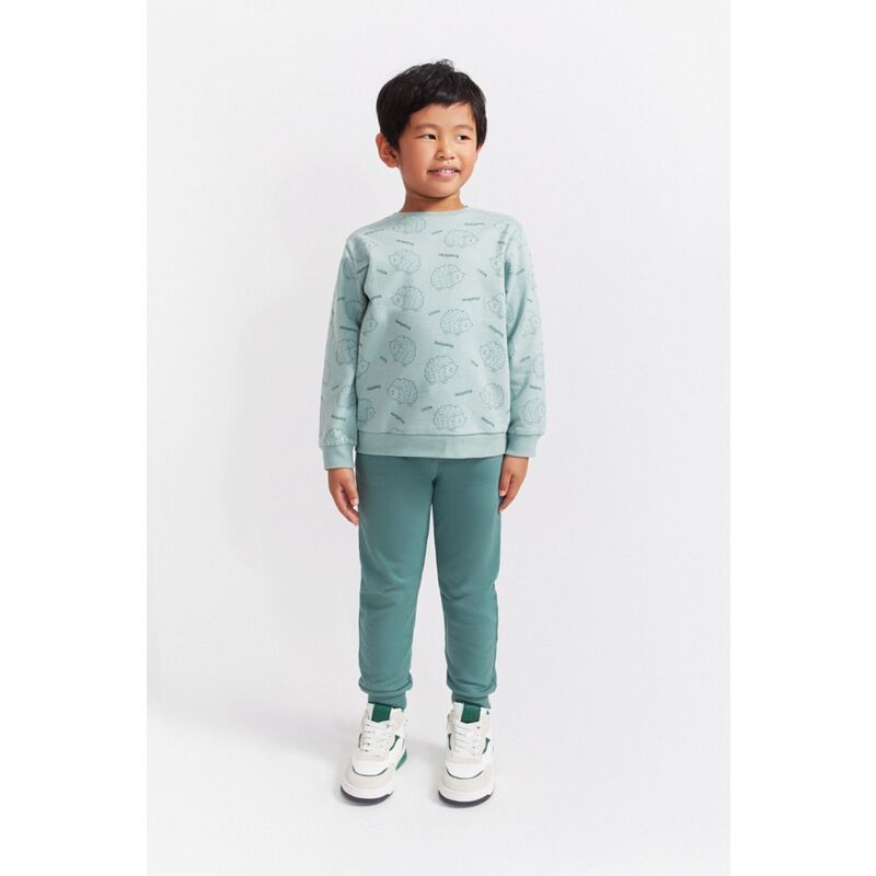 354053 CONJUNTO CHANDAL ERIZO VERDE AMAZONAS. ROPA PARA BEBES ,PREMAMA Y COLEGIAL - DE 0 5 AÑOS INVIERNO NIÑO Deportiva
